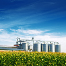 Agriculture - silos at farm